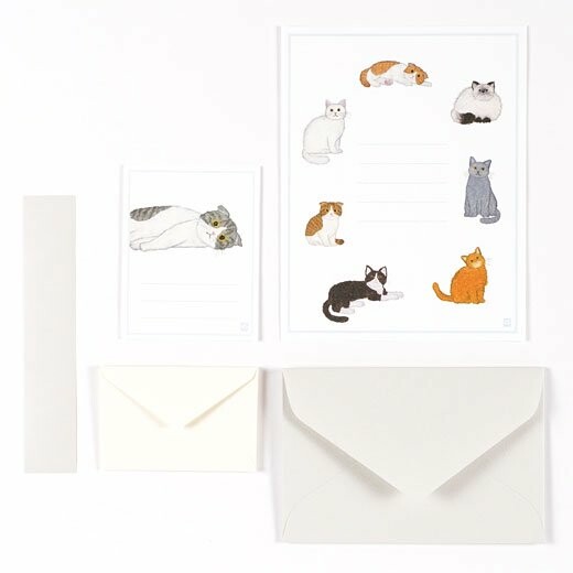 Letter set 2 types cat