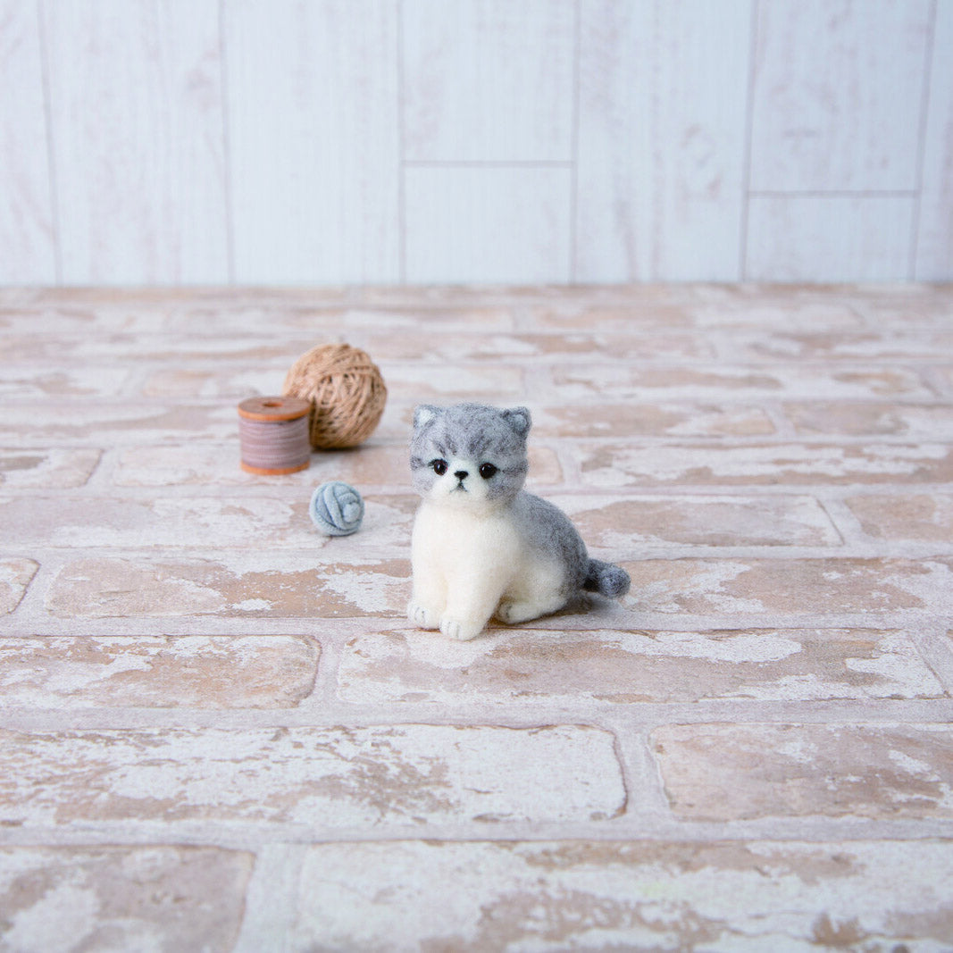 Needle Felting Kit Exotic Shorthair Cat – DIY Wool Animal Craft
