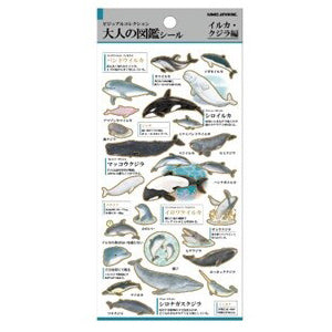 Otona Sticker Series Dolphins & Whales - Encyclopedia for Grown-Ups