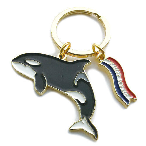 Key ring