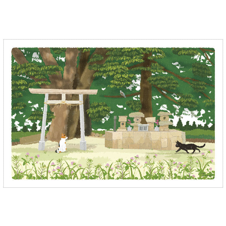 Summer Tabineko Postcard - Japanese Cat Traveling Series Torii