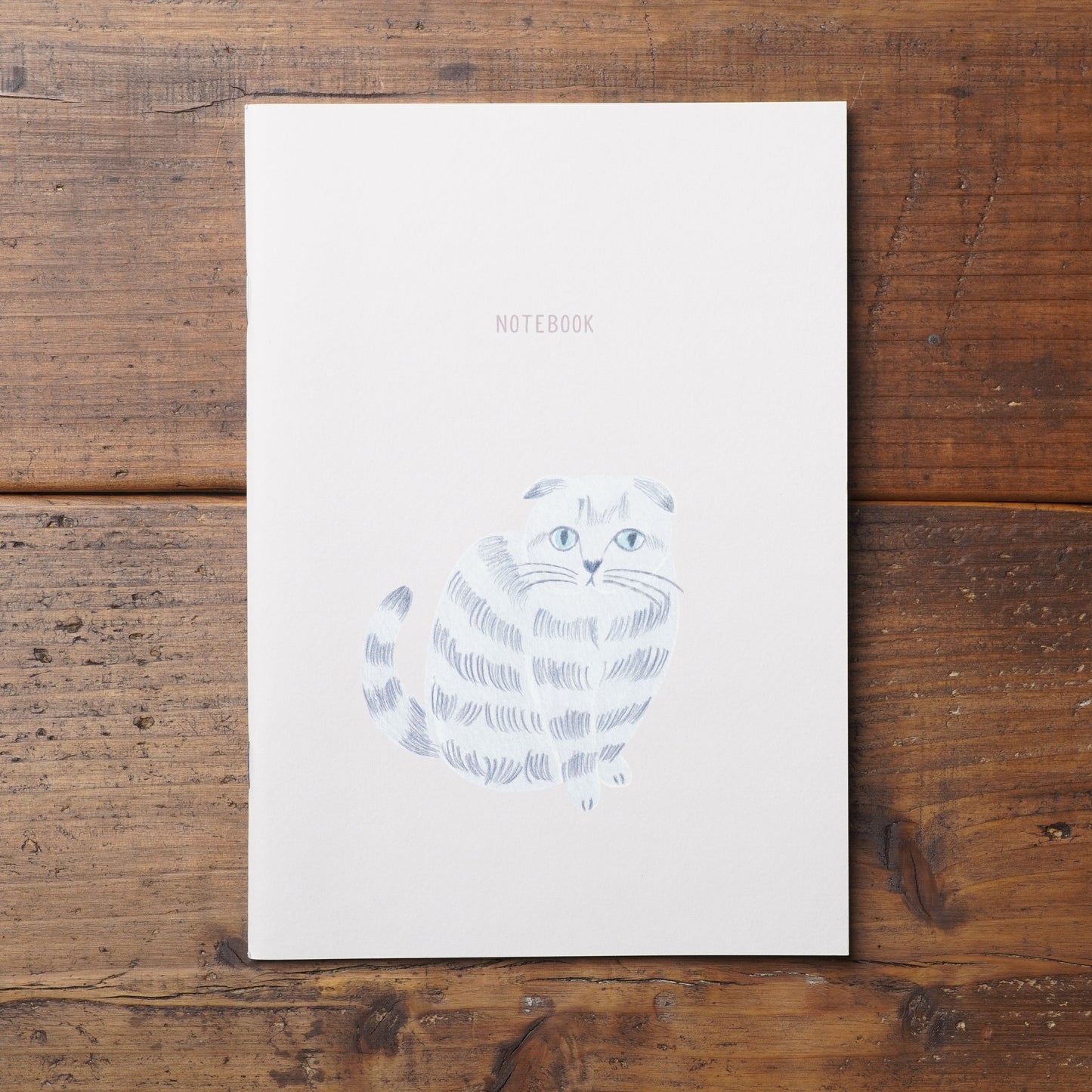 Cat notebook amy
