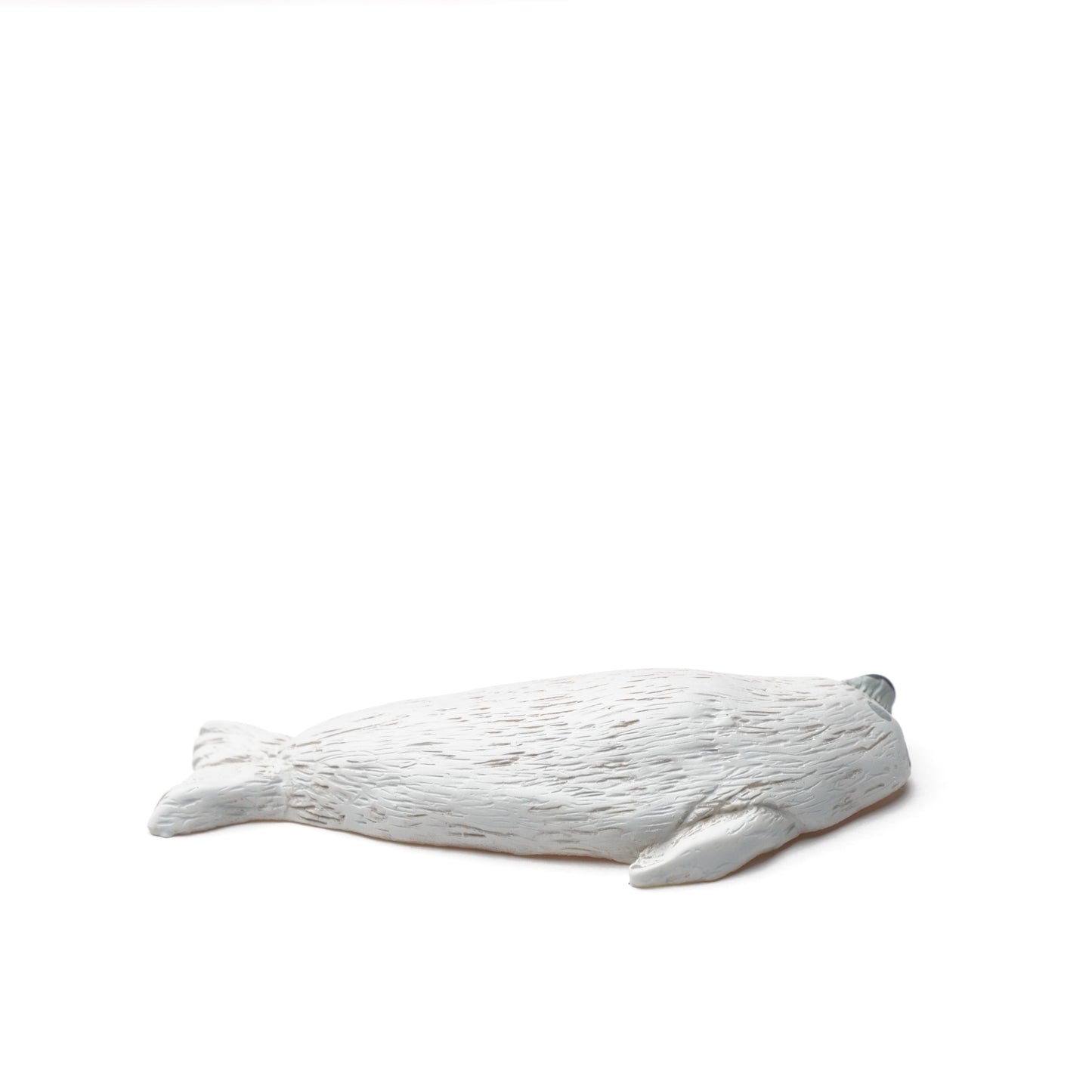 Sleeping Magnet Seal - Japanese Animal Fridge Magnet