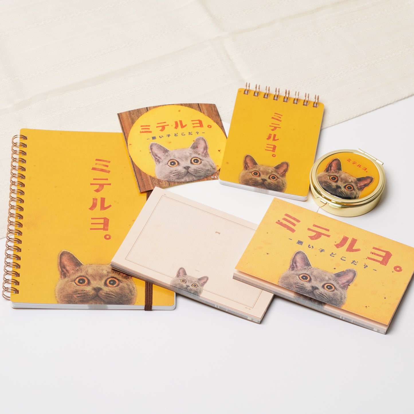Cat Accessory Case with Mirror