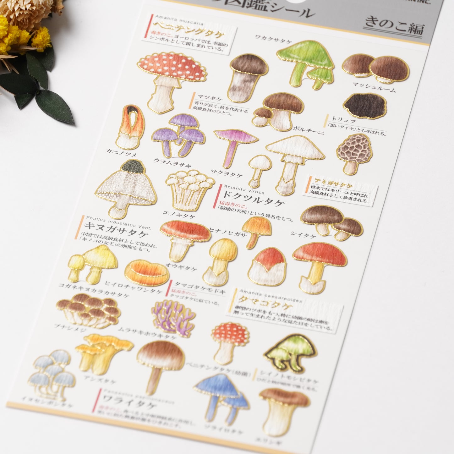 Otona stickers Mushroom