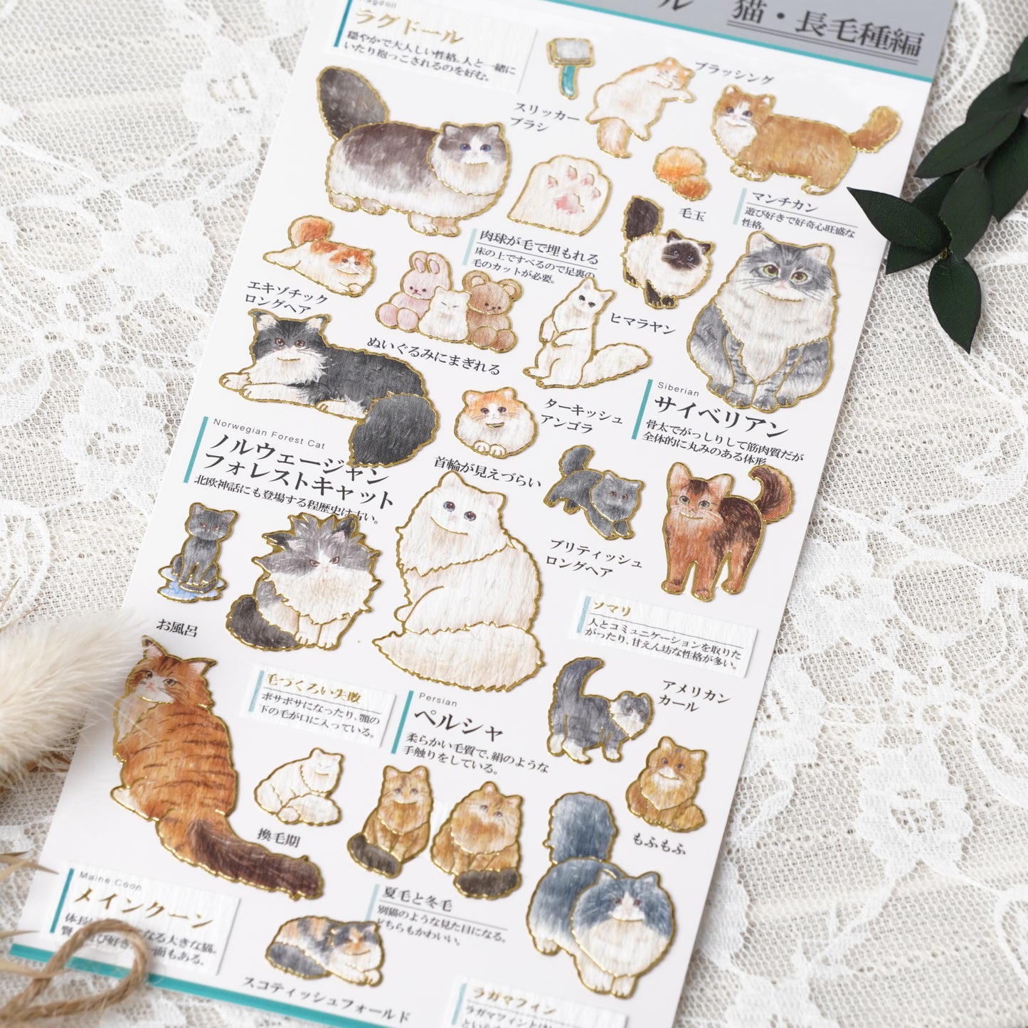 Otona Sticker Series Long-haired Cat - Encyclopedia for Grown-Ups