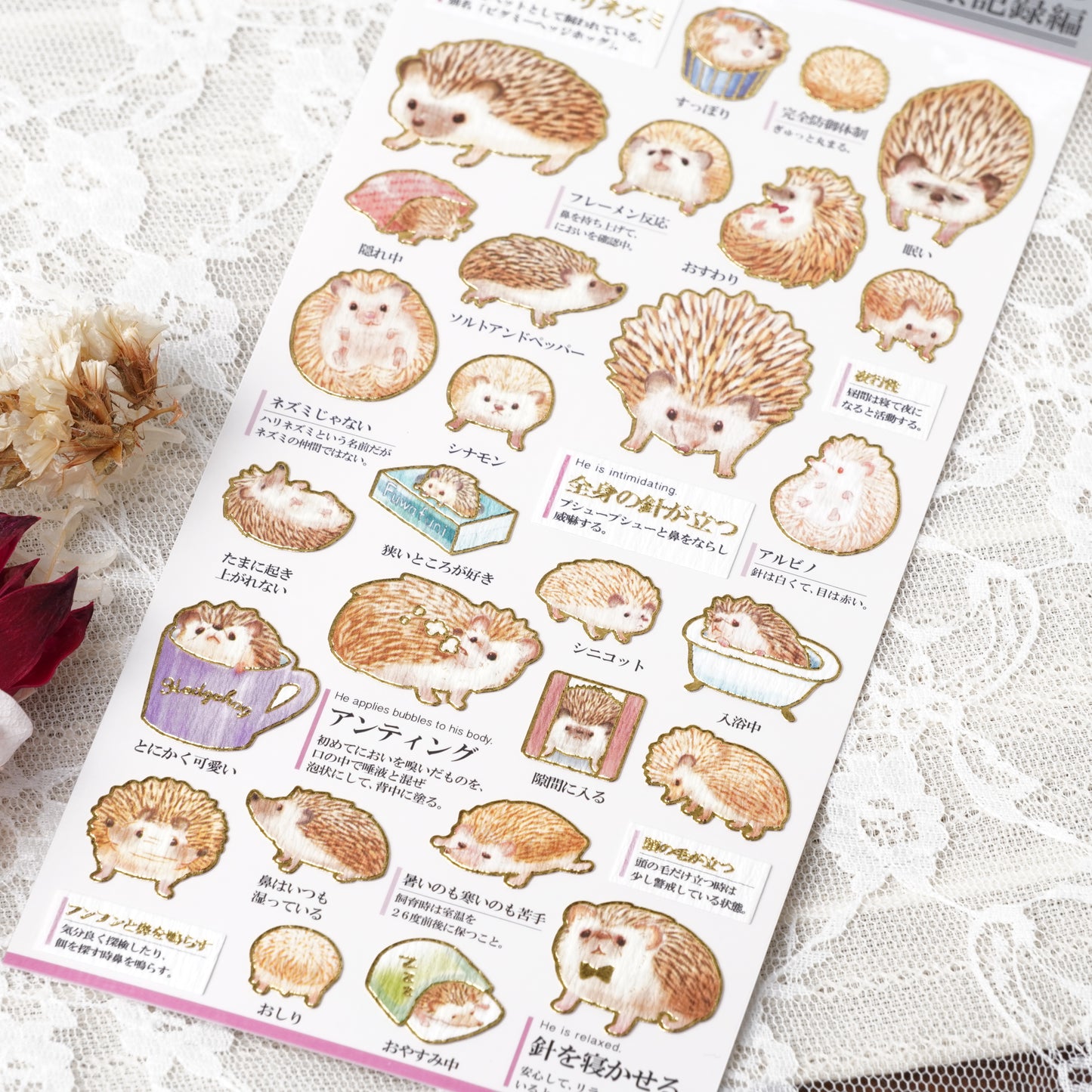Otona Sticker Series Hedgehog - Encyclopedia for Grown-Ups