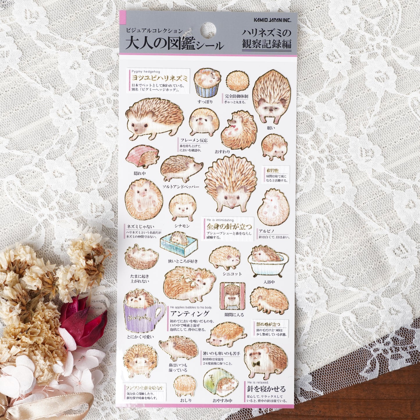 Otona Sticker Series Hedgehog - Encyclopedia for Grown-Ups