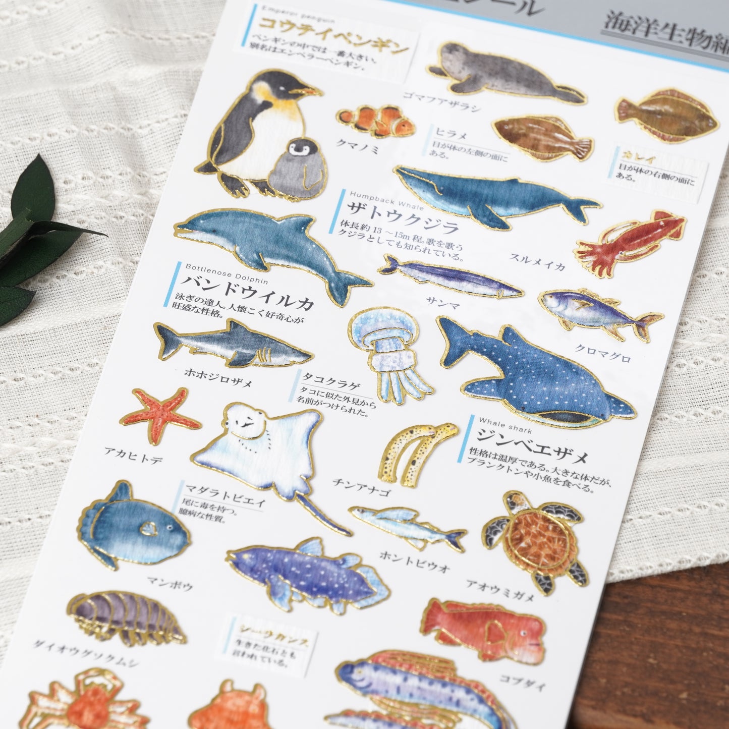 Otona Sticker Series Marine Life - Encyclopedia for Grown-Ups