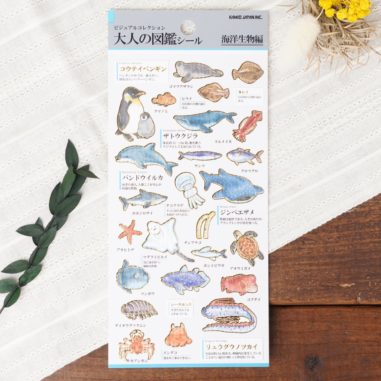 Otona Sticker Series Marine Life - Encyclopedia for Grown-Ups