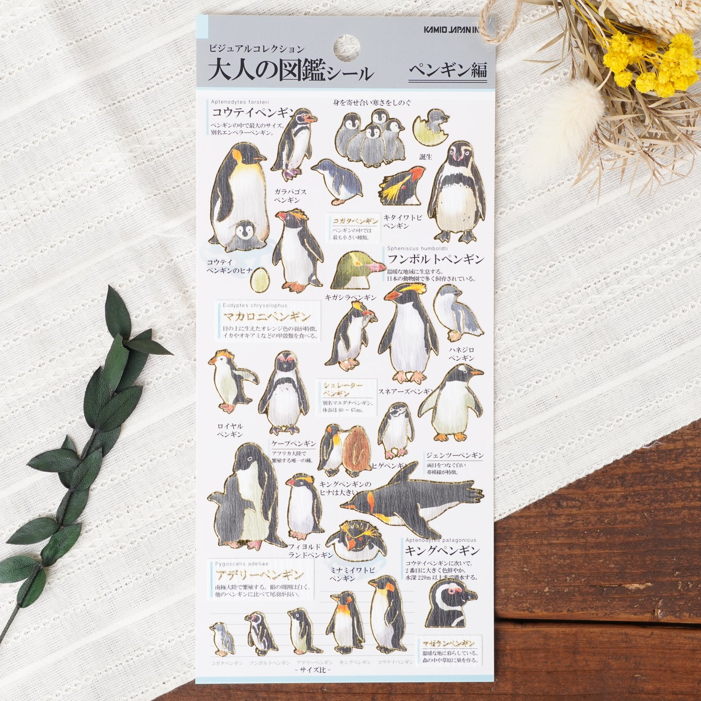 Otona Sticker Series Penguin - Encyclopedia for Grown-Ups