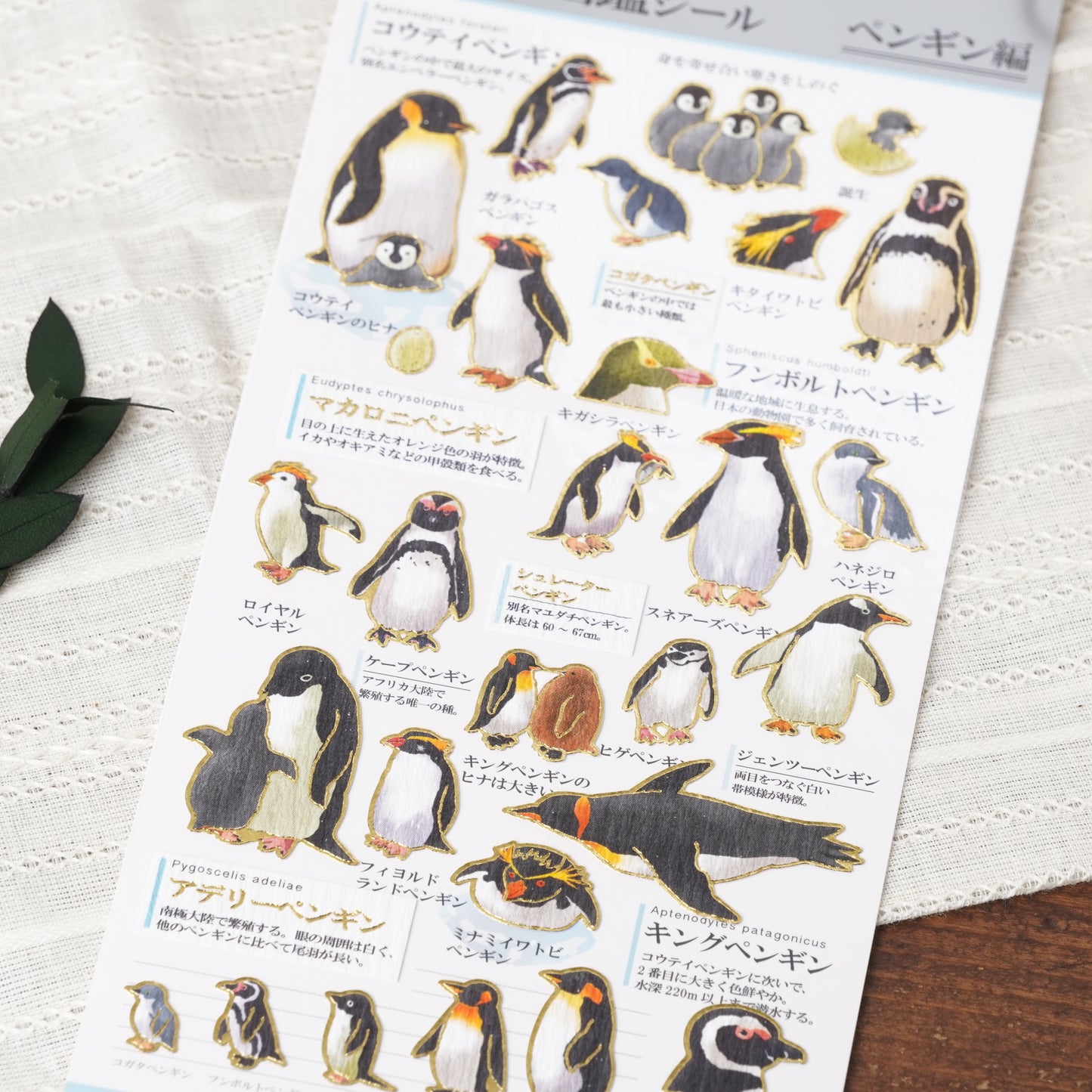 Otona Sticker Series Penguin - Encyclopedia for Grown-Ups