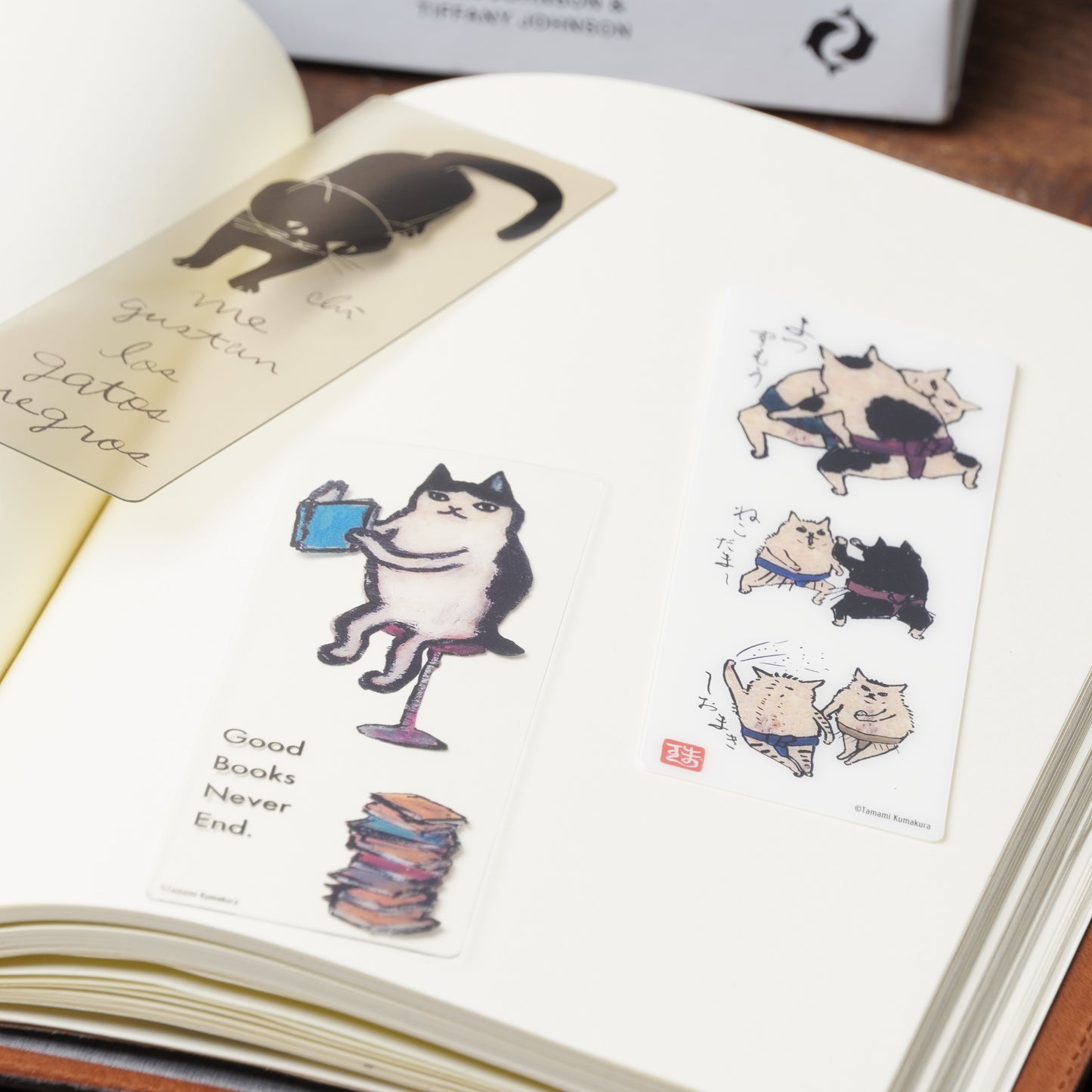 Bookmark book cat