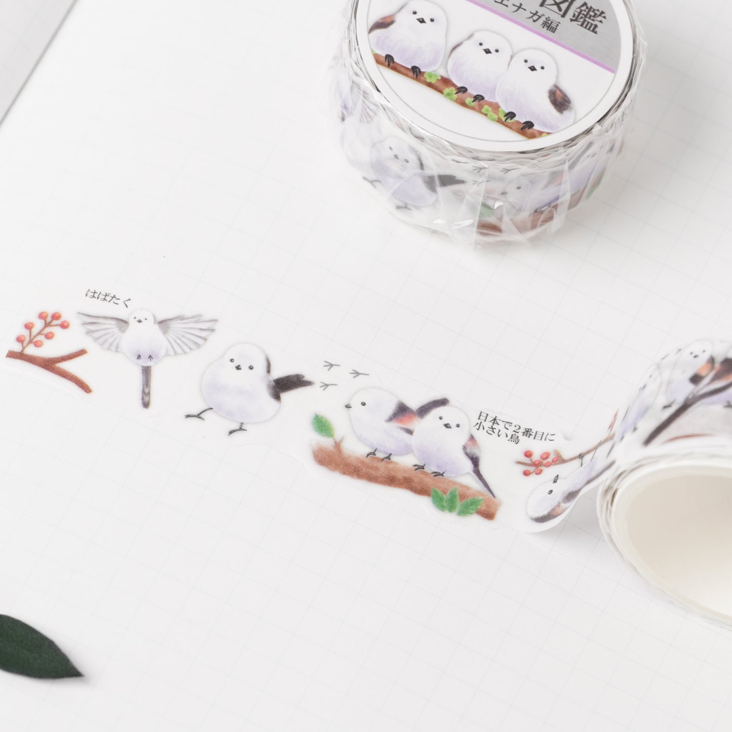 Otona Masking Tape Shimaenaga