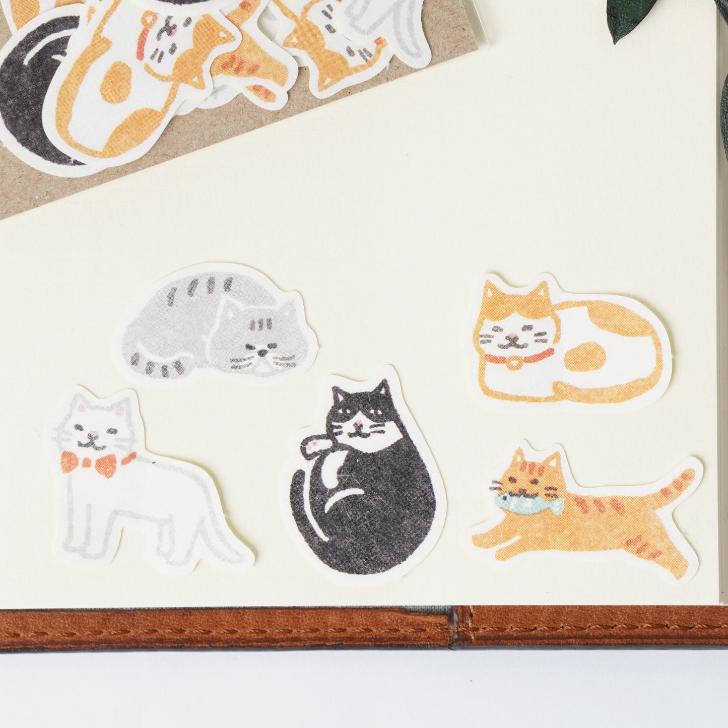 Sticker POCHITTO Cats