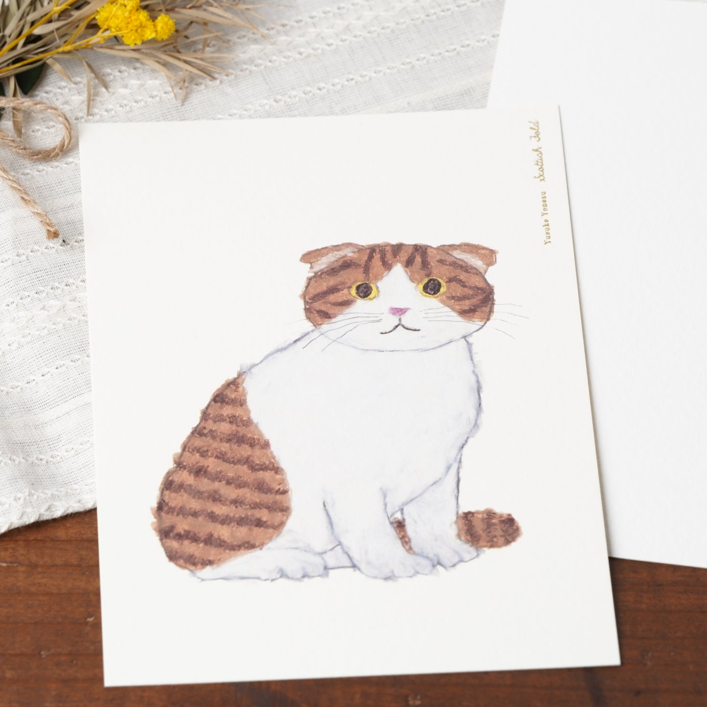 Cat Post Card Yusuke Yonezu