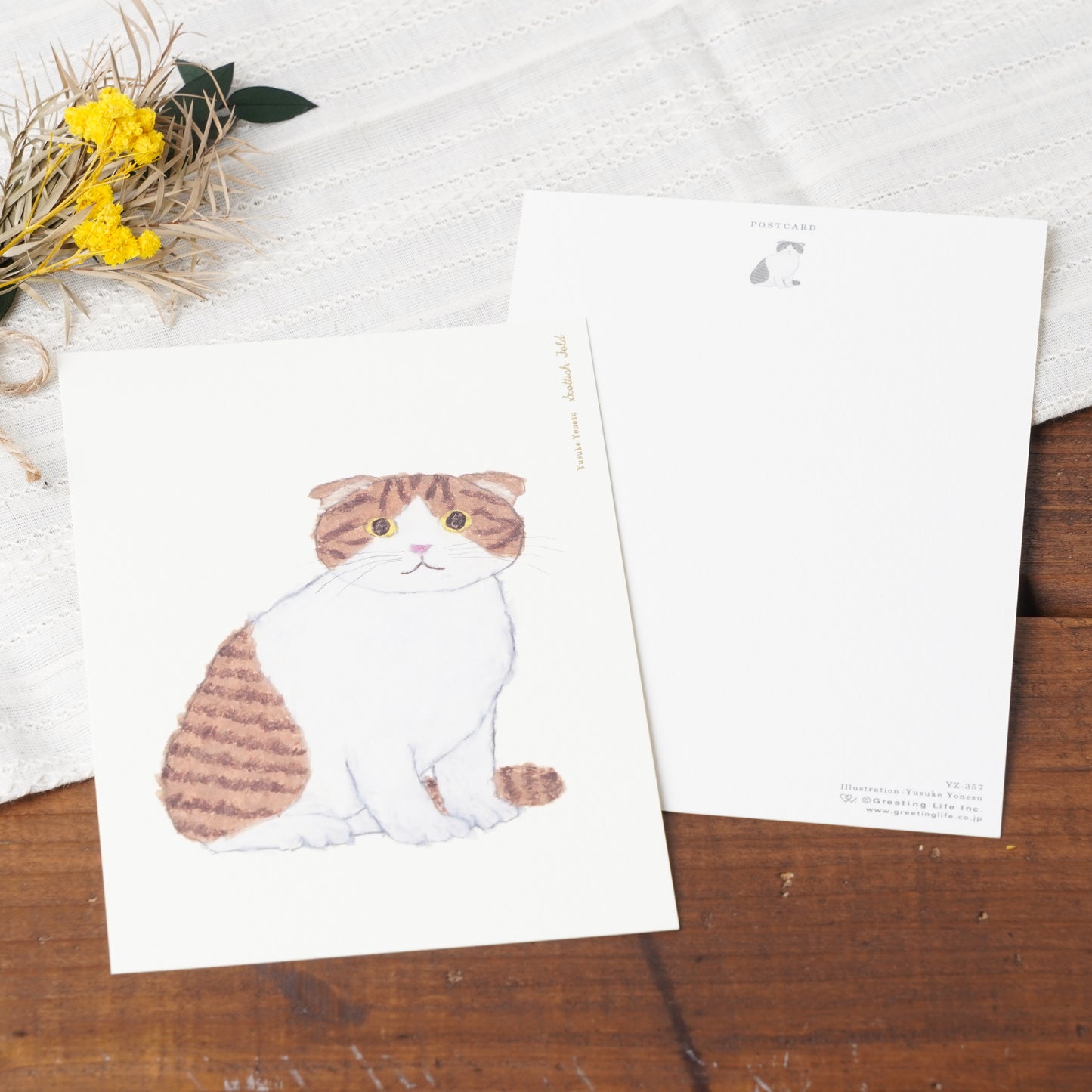 Cat Post Card Yusuke Yonezu