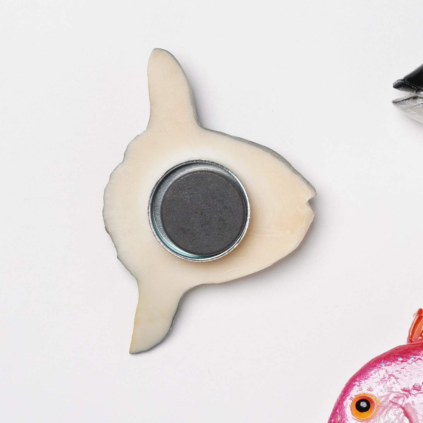 Realistic Japanese Food Sample Magnet - Sunfish