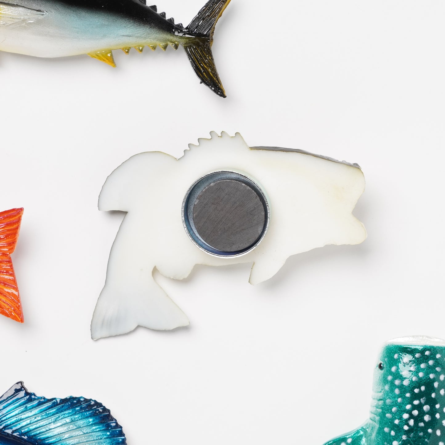Realistic Japanese Food Sample Magnet - Bass