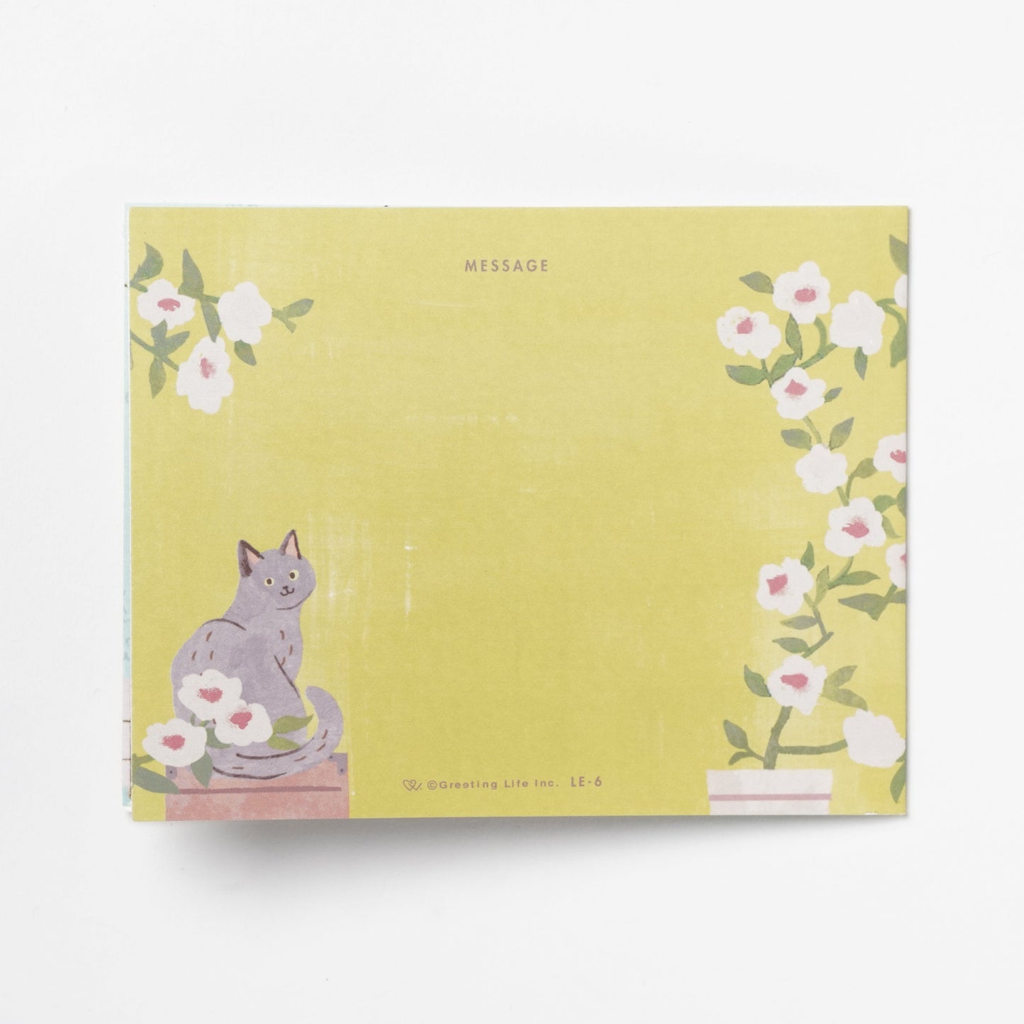 Birthday Card