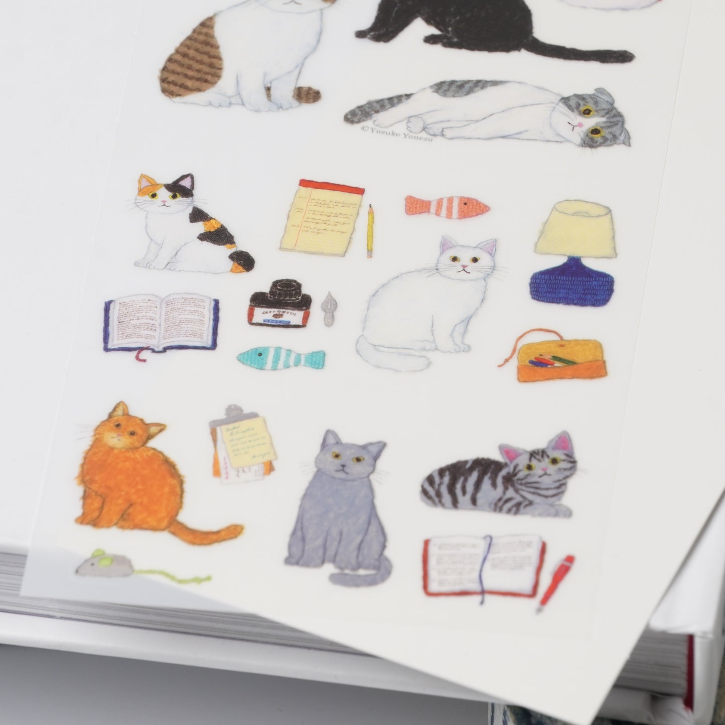Cat Film Sticker