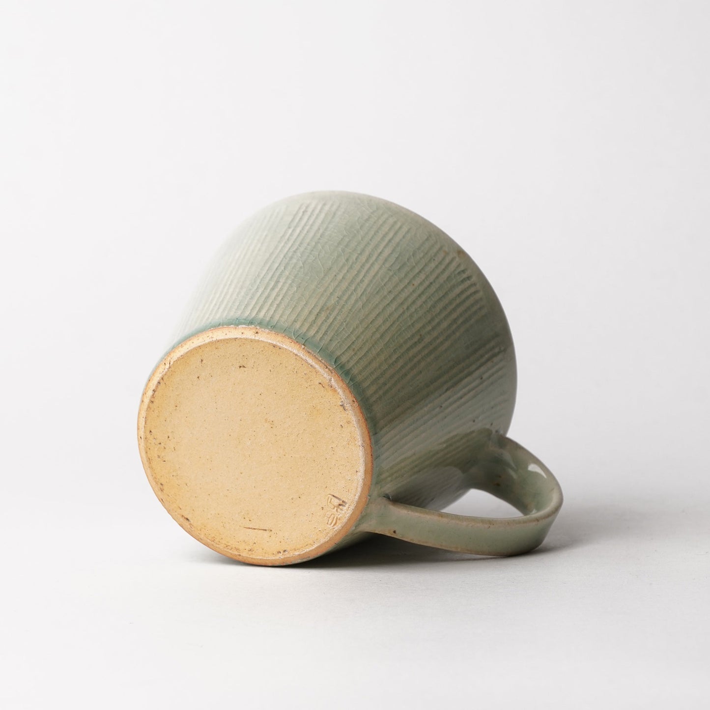 Shigarakiyaki Mug