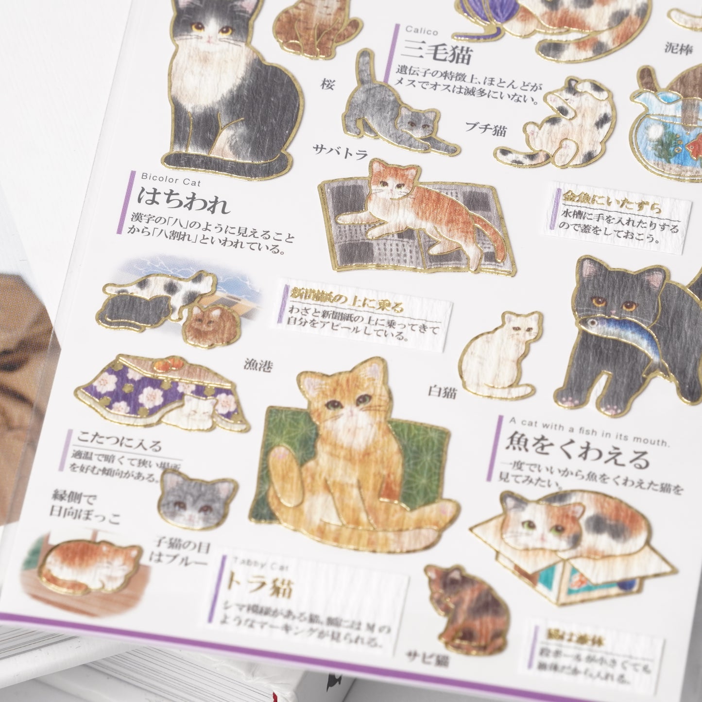 Otona Sticker Series Japanese Cats - Encyclopedia for Grown-Ups