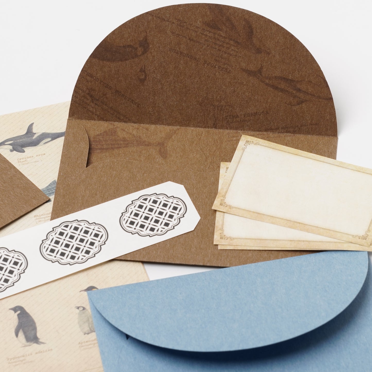 Encyclopedia-Style Letter Set – Ocean Animals