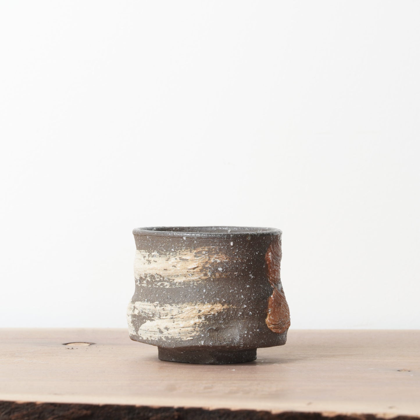 Shigarakiyaki Hakeme Yunomi Teacup Woodfired
