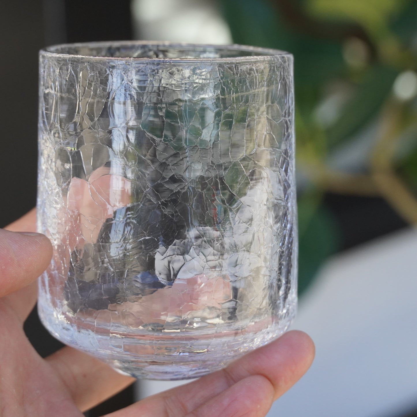 Daisaku Hashimura Crack Glass L