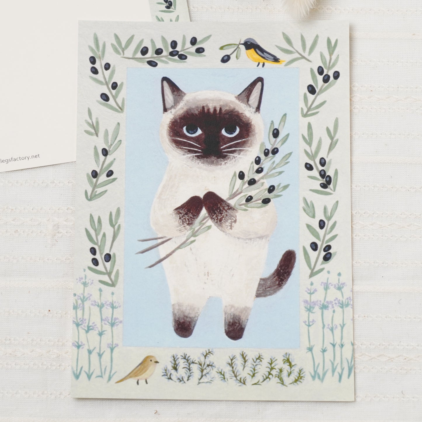 Cats from a Storybook Series - Exotic Shorthair