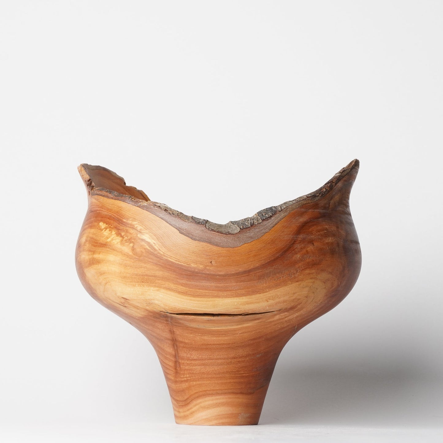 Yuzo Komada Apple Tree Bowl