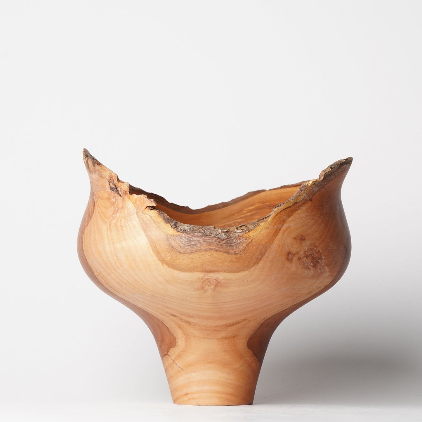 Yuzo Komada Apple Tree Bowl