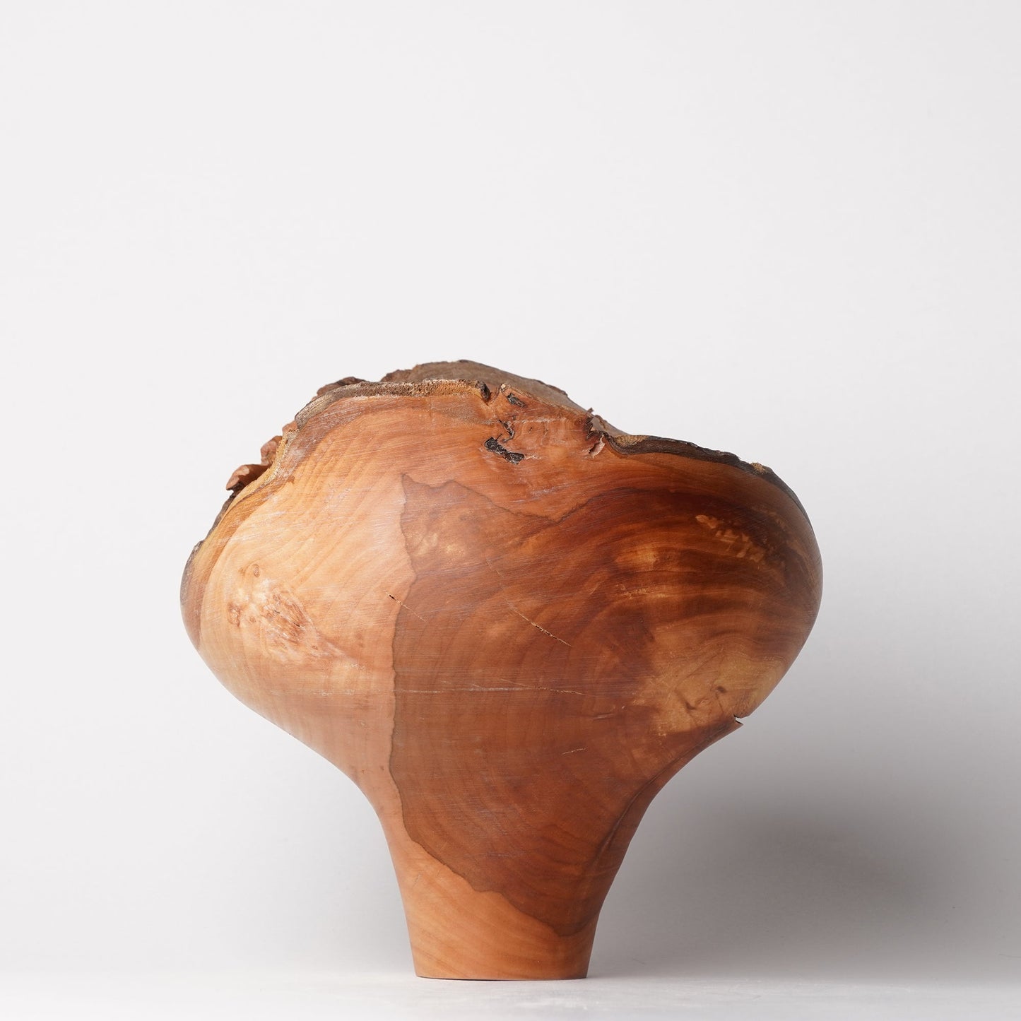Yuzo Komada Apple Tree Bowl