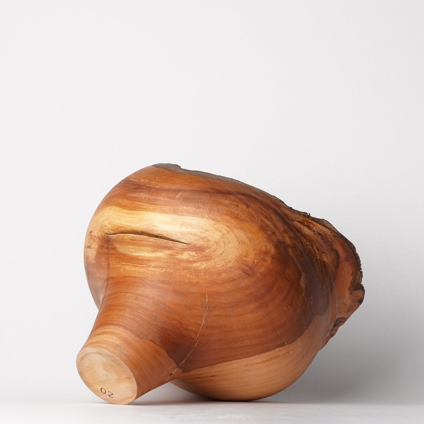Yuzo Komada Apple Tree Bowl