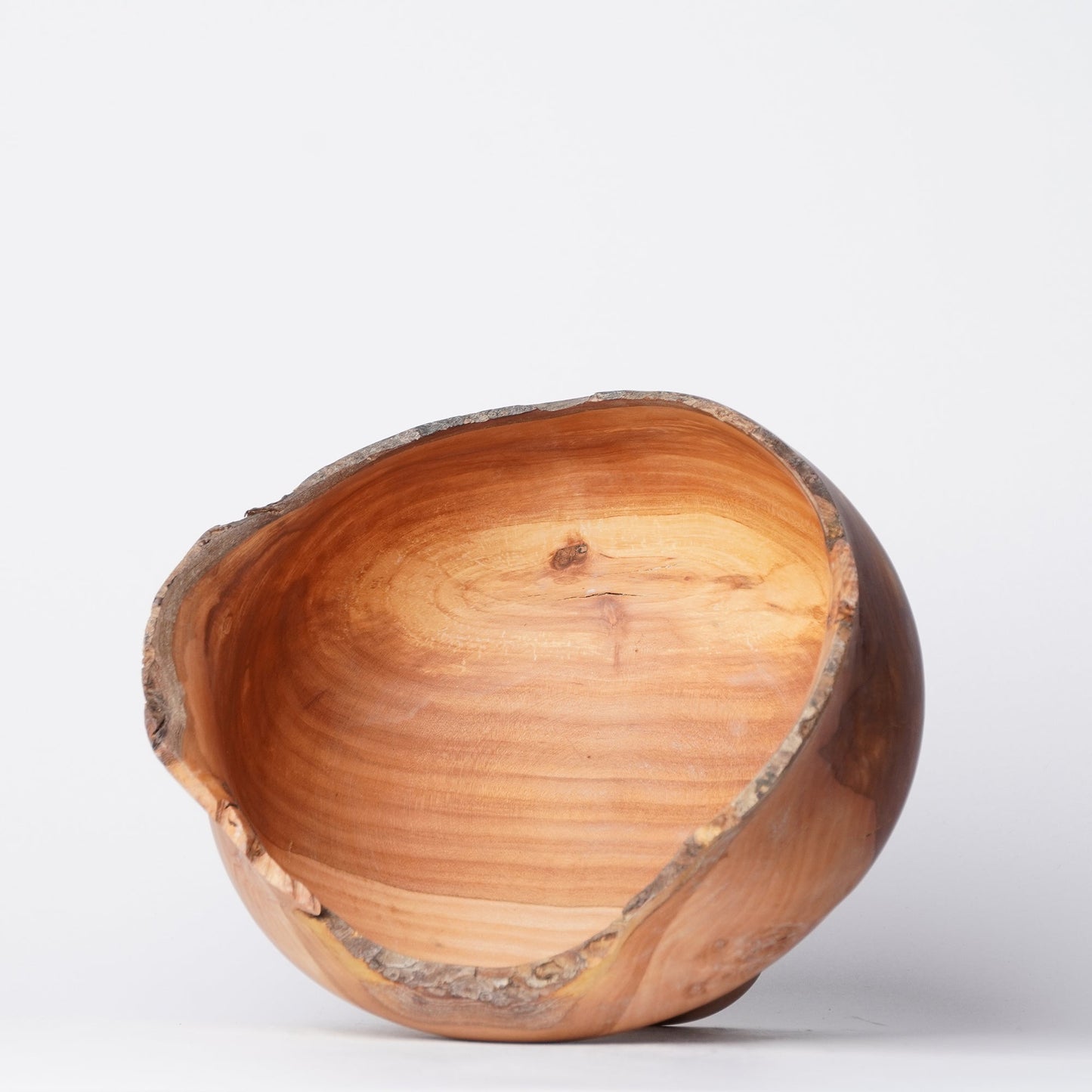 Yuzo Komada Apple Tree Bowl