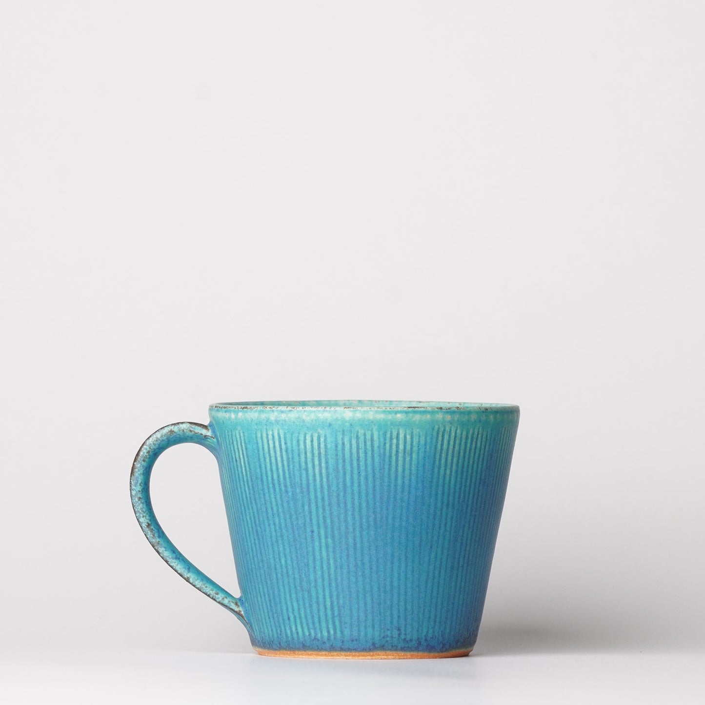 Shigarakiyaki Mug