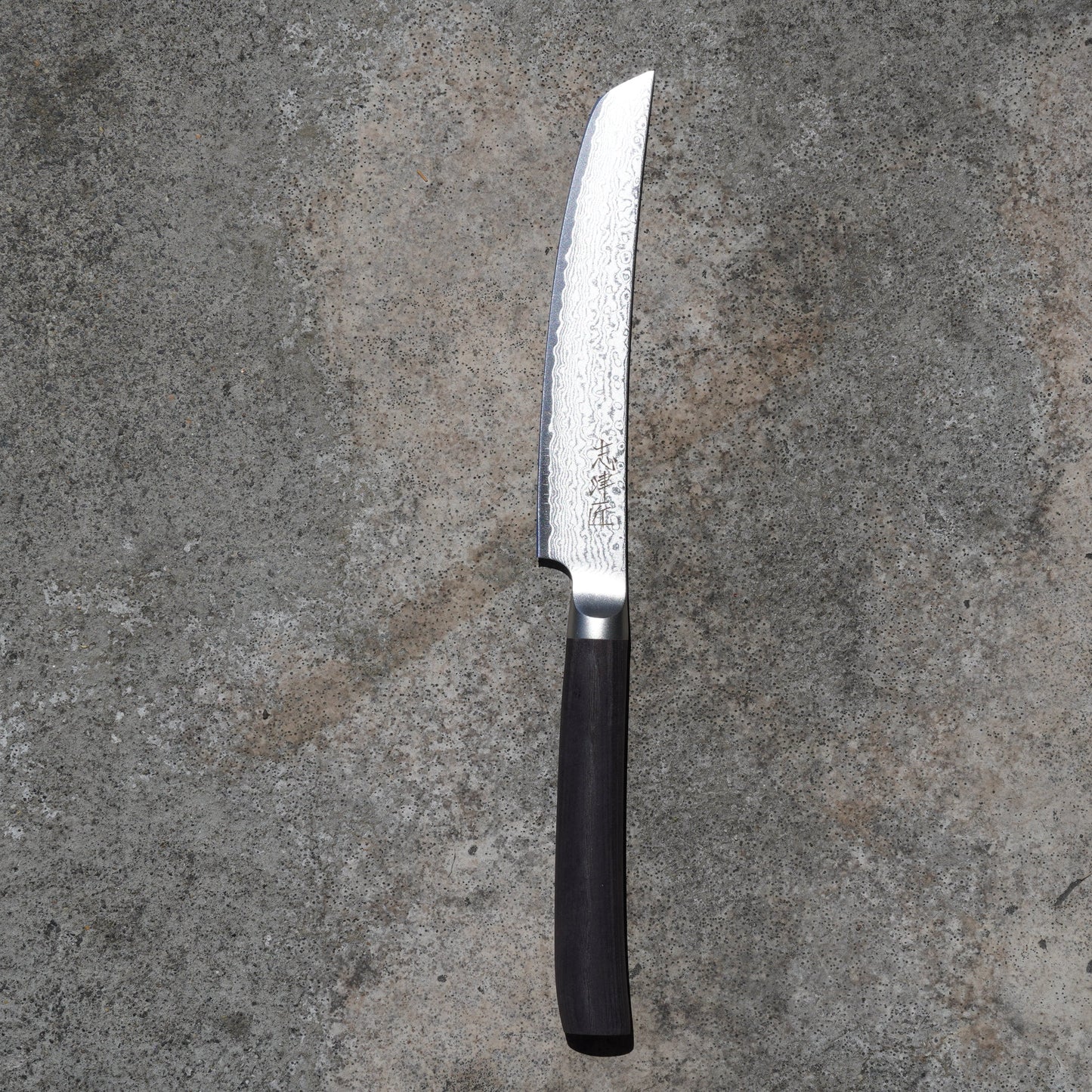 Shizu Takumi Steak Knife