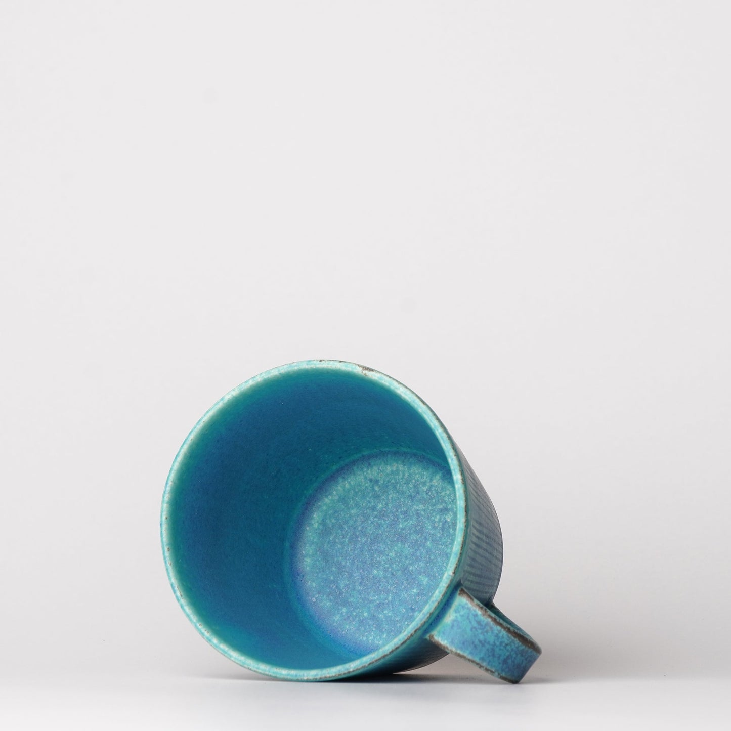 Shigarakiyaki Mug