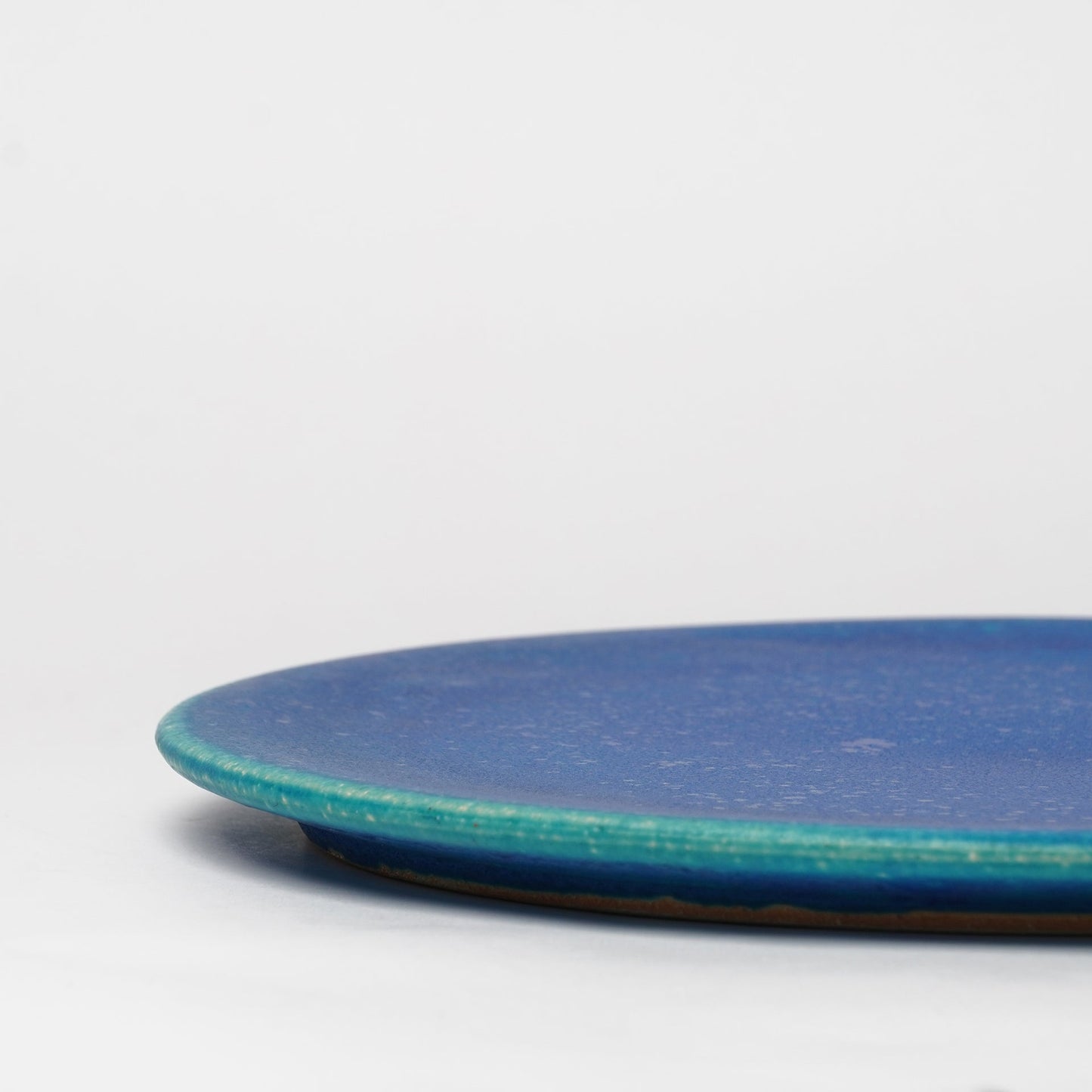 Shigarakiyaki Large Plate