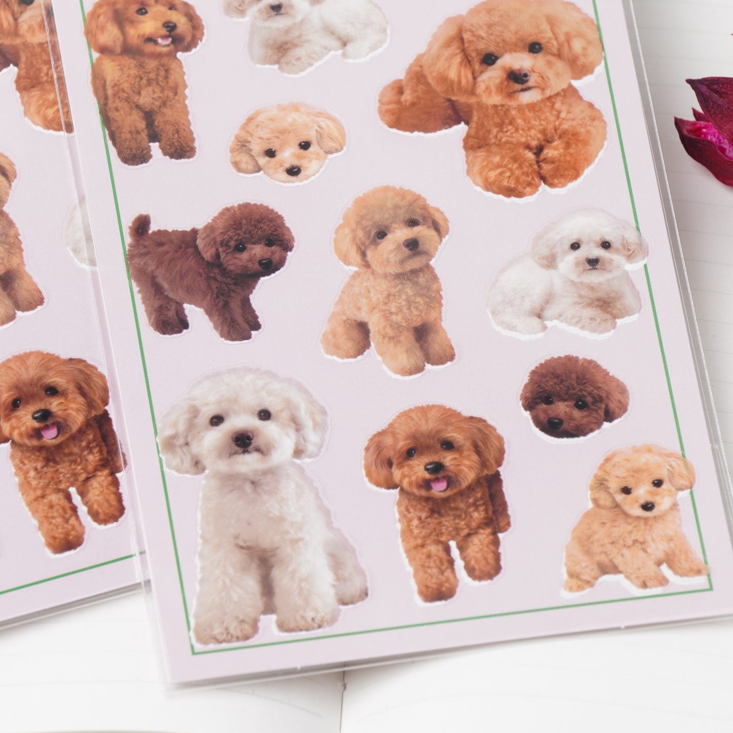 Toy Poodle Photo Selection Sticker Sheet