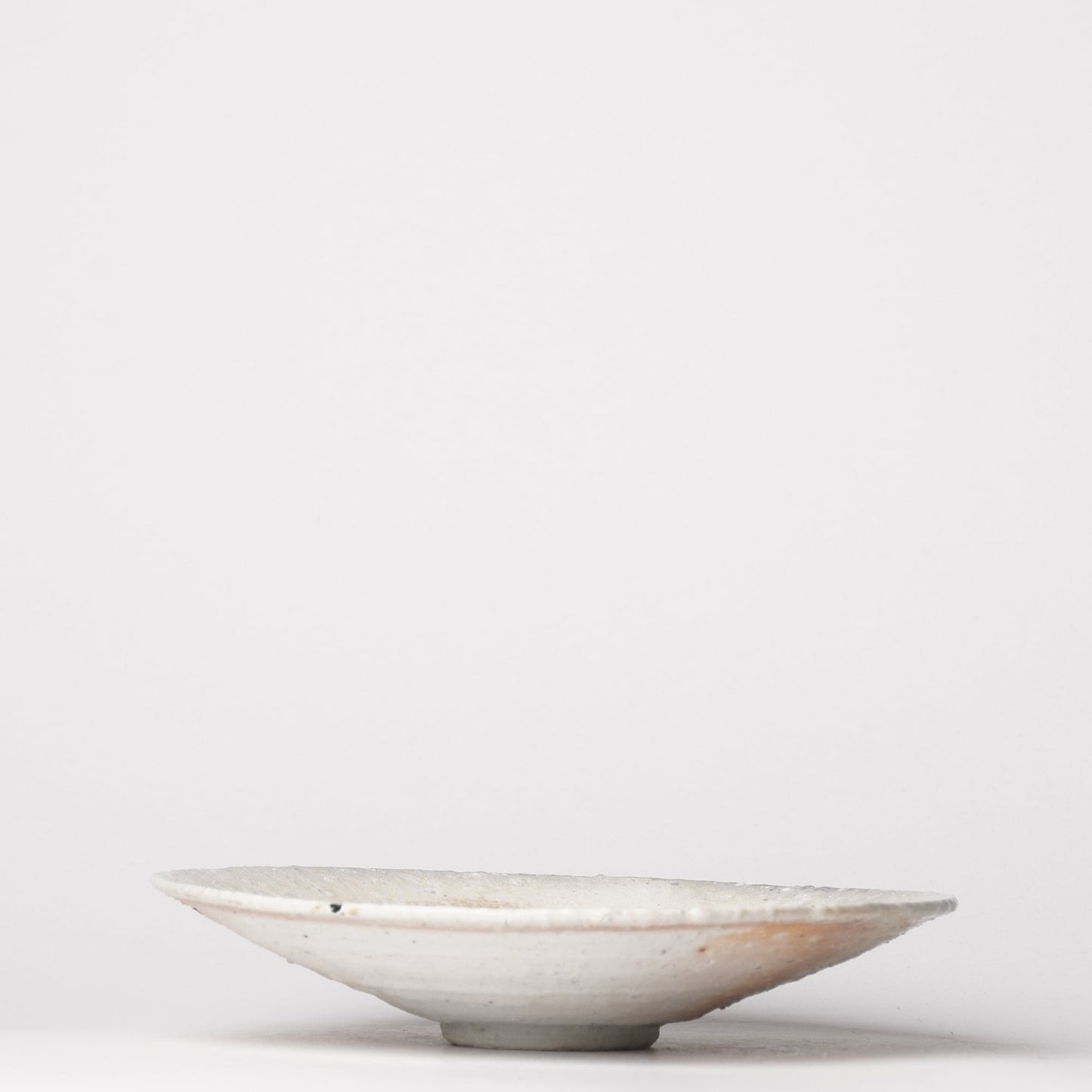 Shikamaru Takeshita Shallow Bowl Porcelain Wood Fired