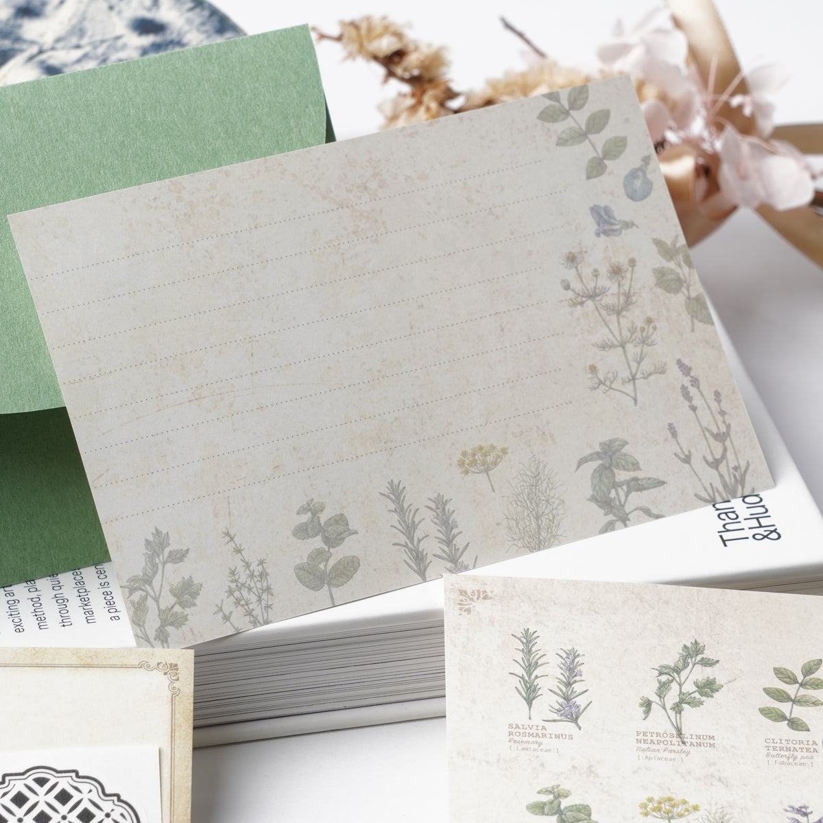Illustrated Book-Style Letter Set – Herbs