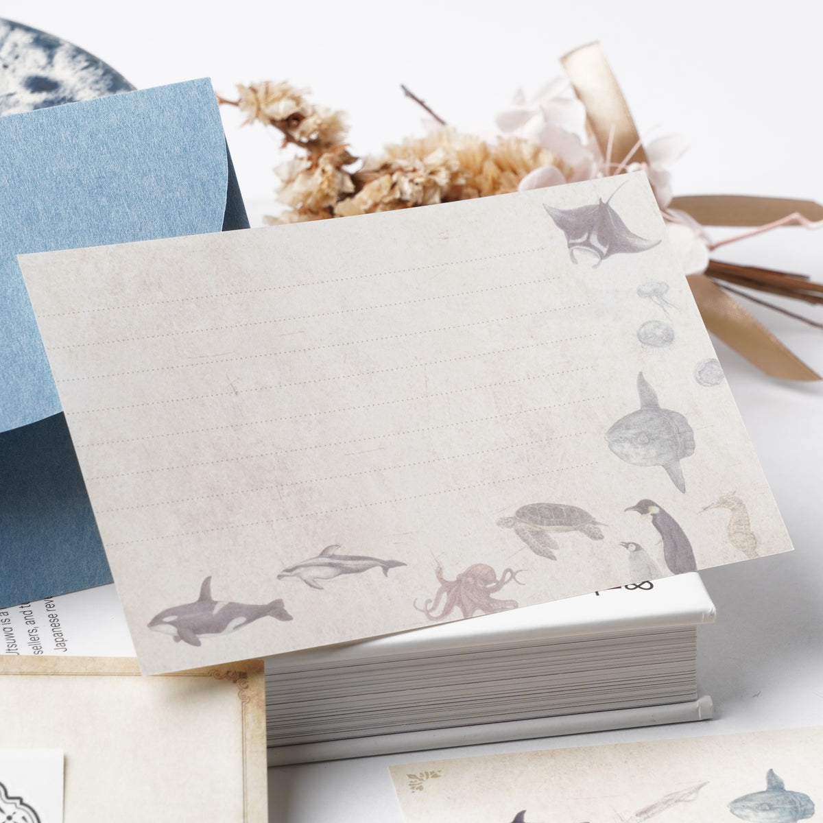 Illustrated Book-Style Letter Set – Sea Life