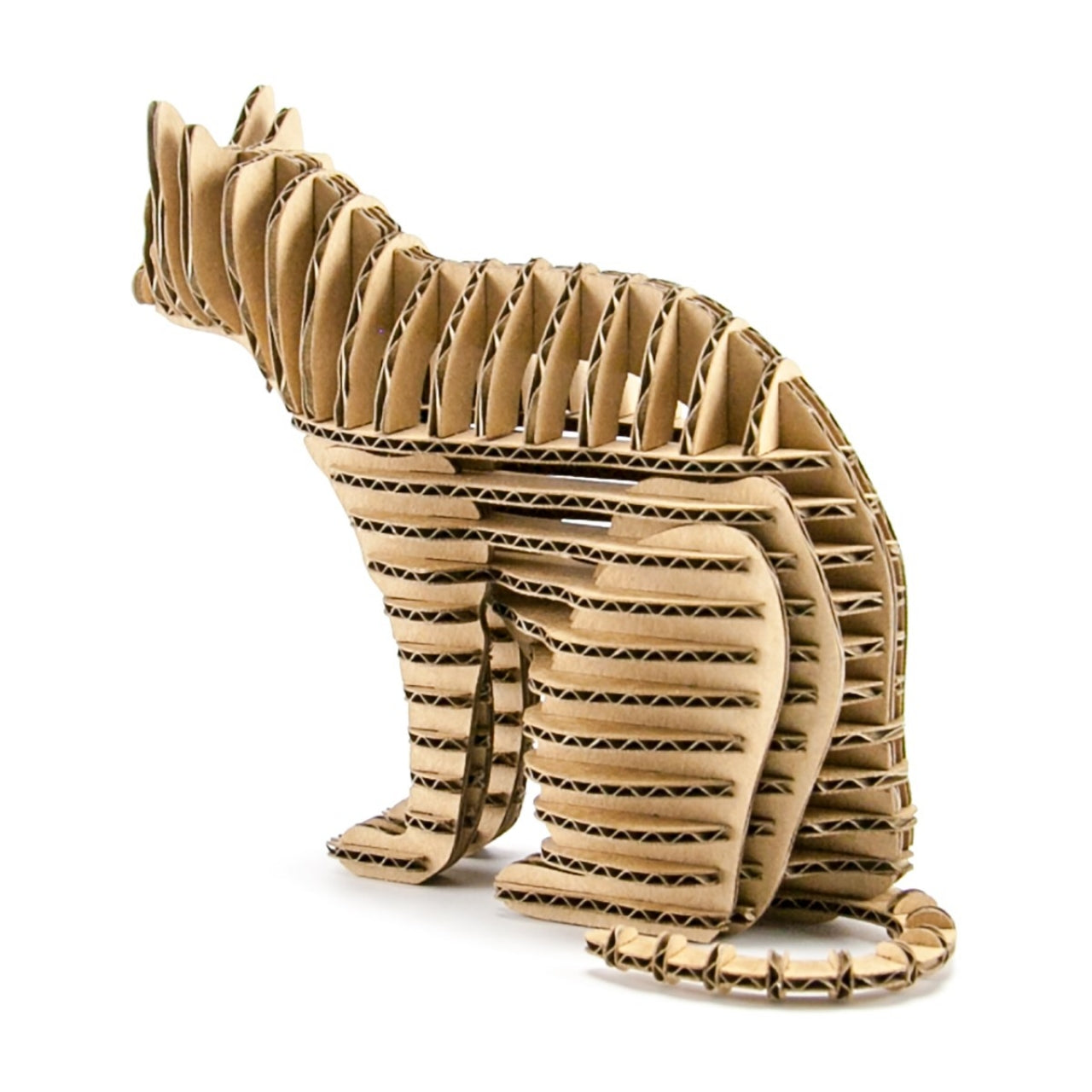Cardboard Craft Kit Mini