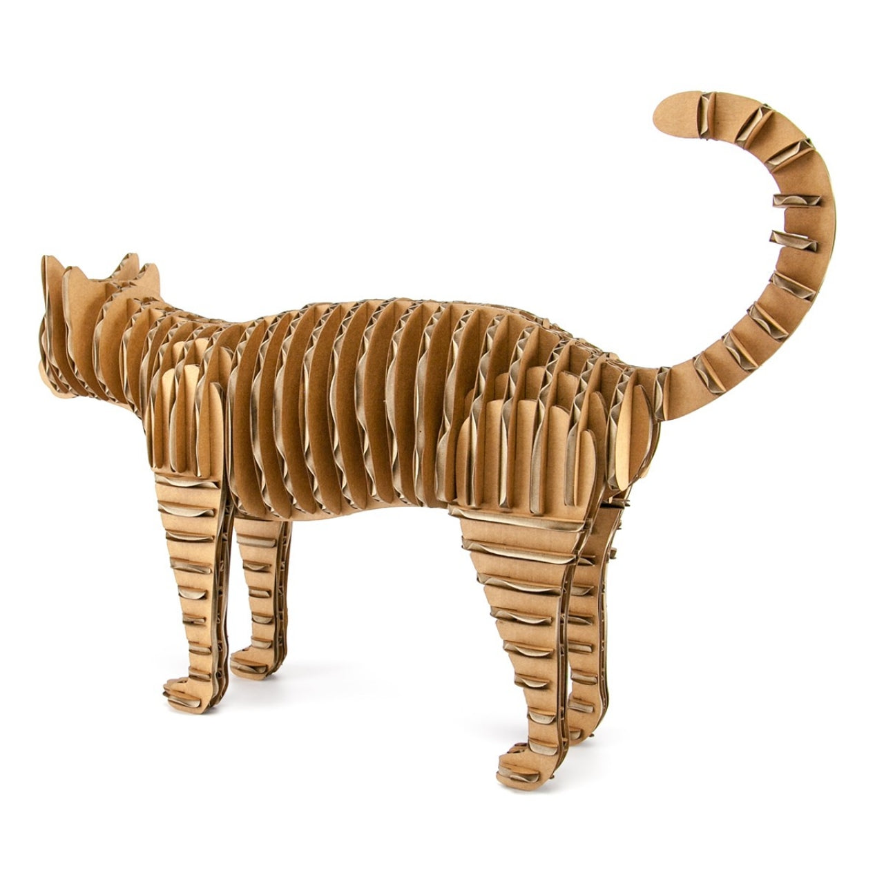 Cardboard Craft Kit Medium
