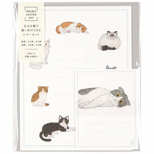 Letter set 2 types cat