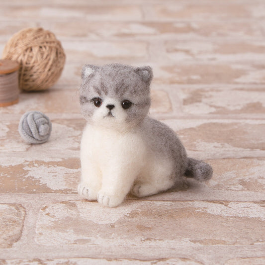 Needle Felting Kit Exotic Shorthair Cat – DIY Wool Animal Craft