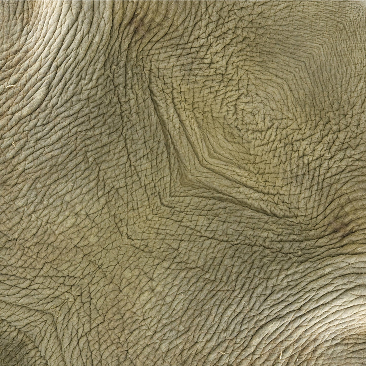 Animal Pattern Origami - Savanna Animals Type A (Giraffe / Elephant / Cheetah)