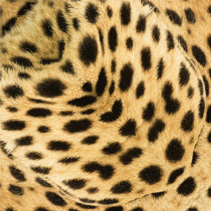 Animal Pattern Origami - Savanna Animals Type A (Giraffe / Elephant / Cheetah)